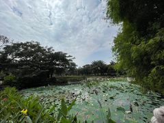-四海公园(南山区)