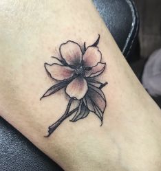 -刺客纹画纹身·洗纹身·穿孔饰品