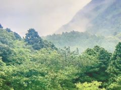 -山涧肴·湘味家肴(松岗满纷天地店)