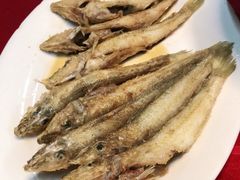 -蛇口康乐快餐鱼仔档(翠苑小区店)
