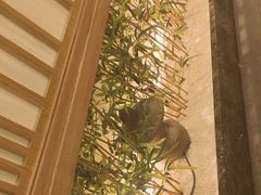 -大鹏饭店·金陵家宴(奥体中心店)