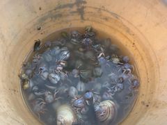-红树林天天赶海