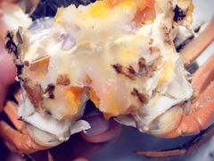 -黄记大闸蟹专卖店·活蟹·醉蟹