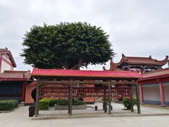 -显应宫(长乐区)