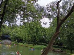 -WeLope紫金山探险公园