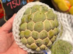 -鼎泰丰(南西店)