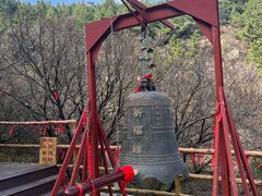 -金龙寺国家森林公园