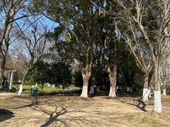 -澹台湖公园