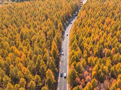 -塞罕坝国家级自然保护区