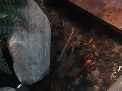 -老头儿油爆虾(星光一期店)