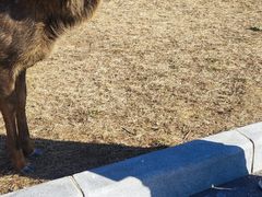 -好利来(桃源店)