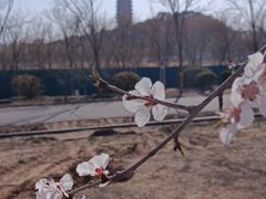 -永定河休闲森林公园