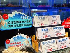 -南海渔村(珠江新城店)