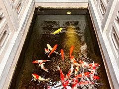 -鲤院·新中式美学·庭院餐厅(夫子庙店)