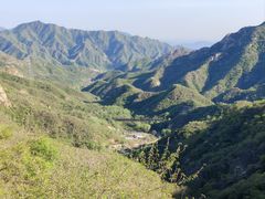 -大岭沟猕猴桃谷风景区