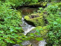 -汤旺河林海奇石景区