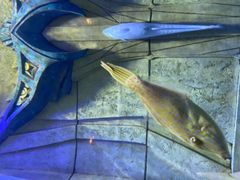-亚龙湾海底世界