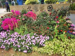 -人民公园(罗湖区)