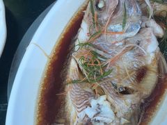 -小海豚•老字号海鲜餐厅(天涯店)