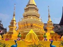 -西双版纳傣族园