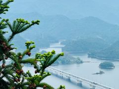 -千岛湖天屿景区