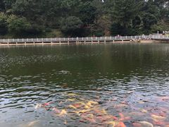 -广州市帽峰山景区