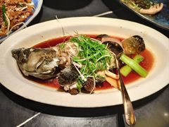 羊肚菌青冈菌蒸深海龙趸-粤·向群饭店(二沙岛店)