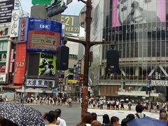 -涩谷区