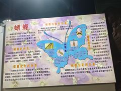 -上海大自然野生昆虫馆(东方明珠·爬宠昆虫探索中心)