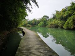 -西溪国家湿地公园