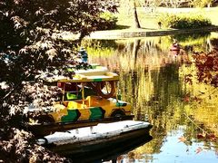 -上海共青森林公园