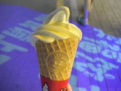 -蜜雪冰城(康乐街店)