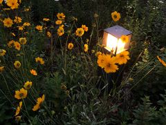 -江苏省苏州实验中学