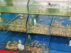 水产区-雅逸居海鲜小厨