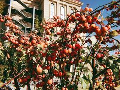 -彤德莱火锅(大学城店)