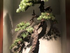 -觀芷隐轩