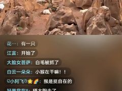 -昆明动物园