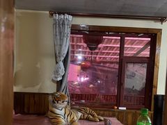 -果松木炭酸菜铜火锅·外婆参鸡汤