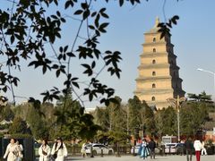 -唐猫庭院·千年陕菜(大唐不夜城店)