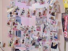 -宠屋宠物美容店