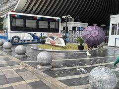 -上海市徐汇区口腔医院