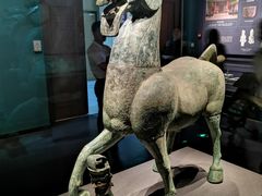 -广西壮族自治区博物馆