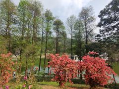 -广州市白云山风景名胜区