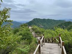 -大岭沟猕猴桃谷风景区