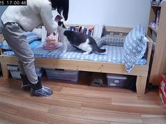 -喵五郎の猫咪酒店·专业洗护·寄养