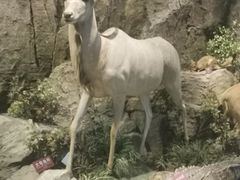 -陕西自然博物馆