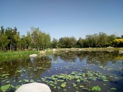 -武清南湖绿博园