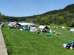 -武陵山森林公园