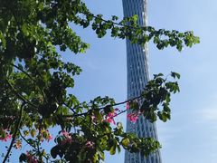 -海心沙亚运公园