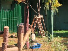 -沈阳森林动物园